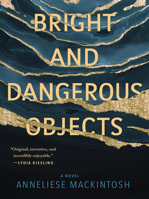 Title details for Bright and Dangerous Objects by Anneliese Mackintosh - Wait list